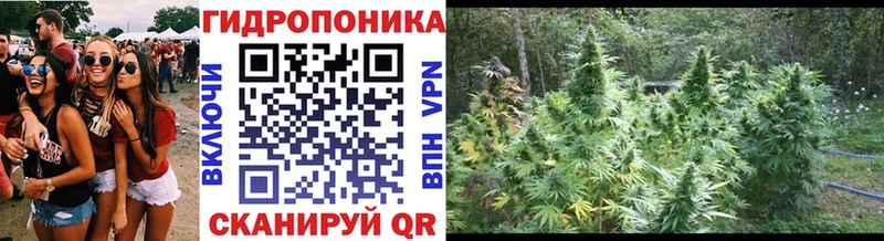 Канабис AK-47  Купить где  Жуков 